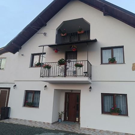 Casuta Din Livada Villa Moisei Exterior photo